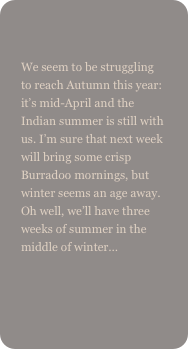 
We seem to be struggling to reach Autumn this year: it’s mid-April and the Indian summer is still with us. I’m sure that next week will bring some crisp Burradoo mornings, but winter seems an age away. Oh well, we’ll have three weeks of summer in the middle of winter…