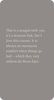 

This is a magpie lark: yes, it’s a tenuous link, but I love this sonnet. It is always an enormous comfort when things go bad – which they very seldom do these days.