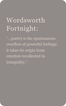 
Wordsworth Fortnight:
“…poetry is the spontaneous overflow of powerful feelings: it takes its origin from emotion recollected in tranquility.”