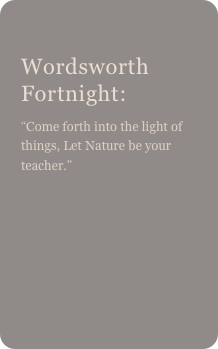 
Wordsworth Fortnight:
“Come forth into the light of things, Let Nature be your teacher.” 