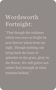 
Wordsworth Fortnight:
“That though the radiance which was once so bright be now forever taken from my sight. Though nothing can bring back the hour of splendor in the grass, glory in the flower. We will grieve not, rather find strength in what remains behind. ” 