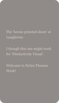 

The ‘heron-priested shore’ at Laugherne.I though this one might work for ‘Distinctively Visual’.
Welcome to Dylan Thomas Week!