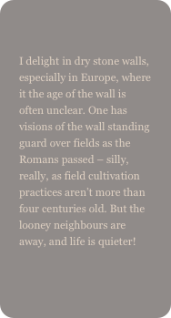 
I delight in dry stone walls, especially in Europe, where it the age of the wall is often unclear. One has visions of the wall standing guard over fields as the Romans passed – silly, really, as field cultivation practices aren’t more than four centuries old. But the looney neighbours are away, and life is quieter!